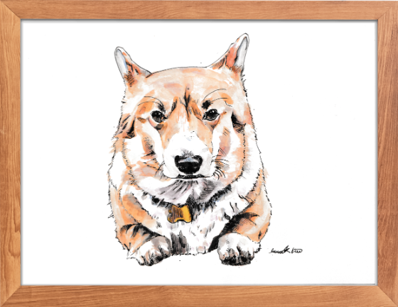 Biscuit